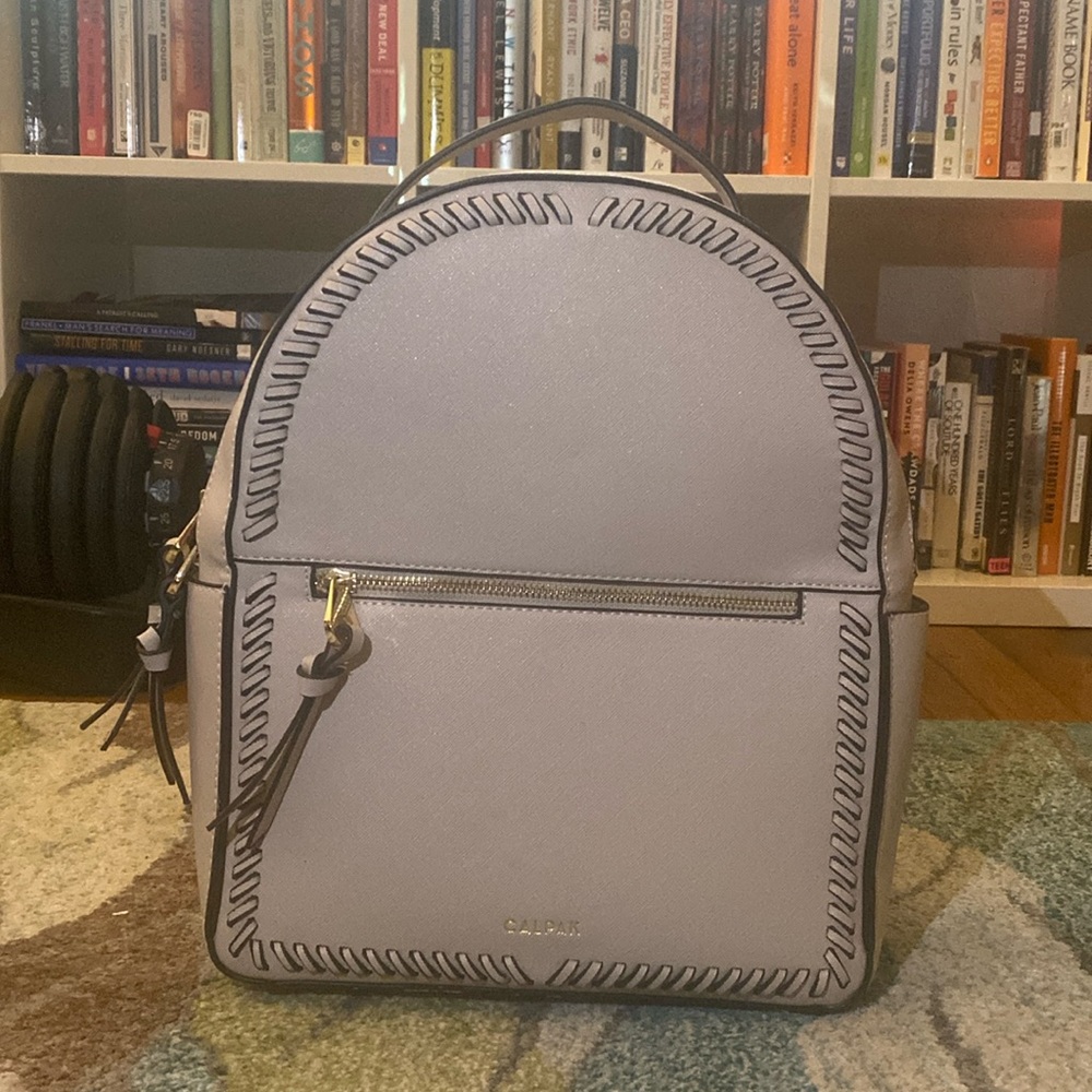 CALPAK Kaya backpack (stone)